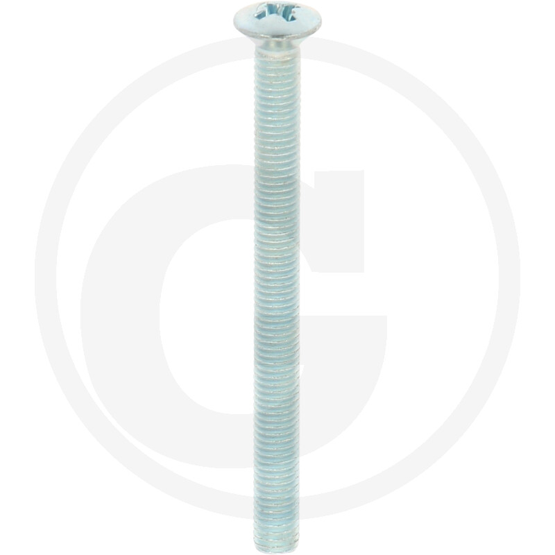 Linsensenkschr.DIN966,VZ,PH2,M05x060,VE1